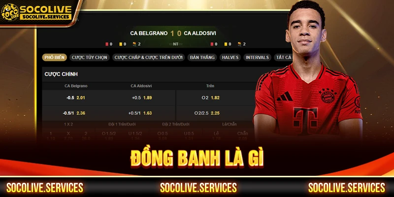 Đồng banh là gì