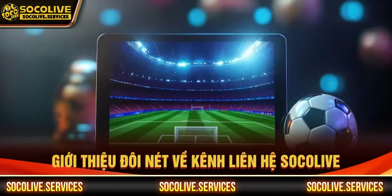 Liên hệ giúp người dùng giải quyết sự cố nhanh chóng