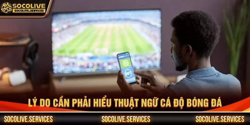 Lý do cần phải hiểu thuật ngữ cá độ bóng đá
