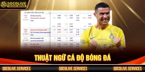 thuật ngữ cá độ bóng đá