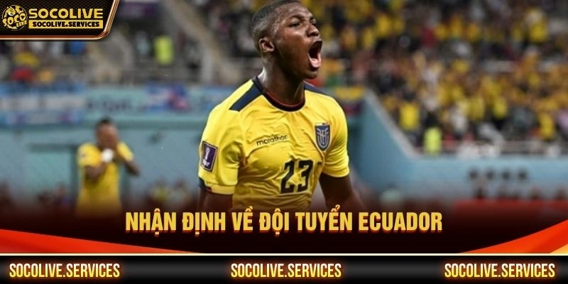 Nhận định về đội tuyển Ecuador Nhận định về đội tuyển Ecuador